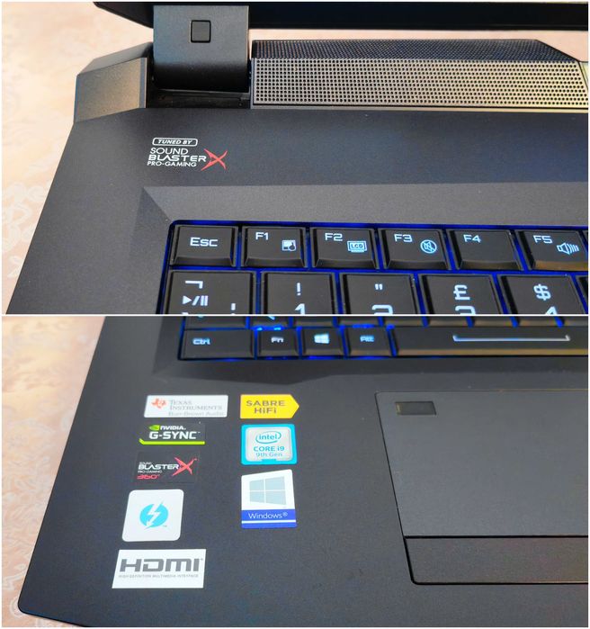 RTX 2080 8GB/Core i9 9900K/17.3 G-SYNC 144Hz IPS/16GB RAM/512GB NVMe