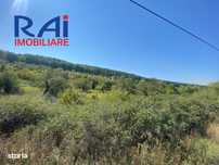 INVESTITIE ! Teren intravilan Predesti- Valea Merilor | 5492 mp.