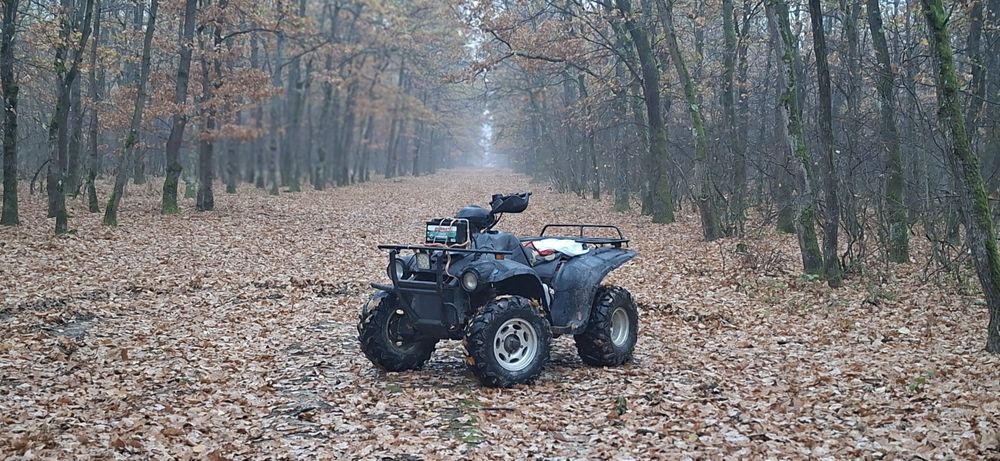 De vanzare linhai 300