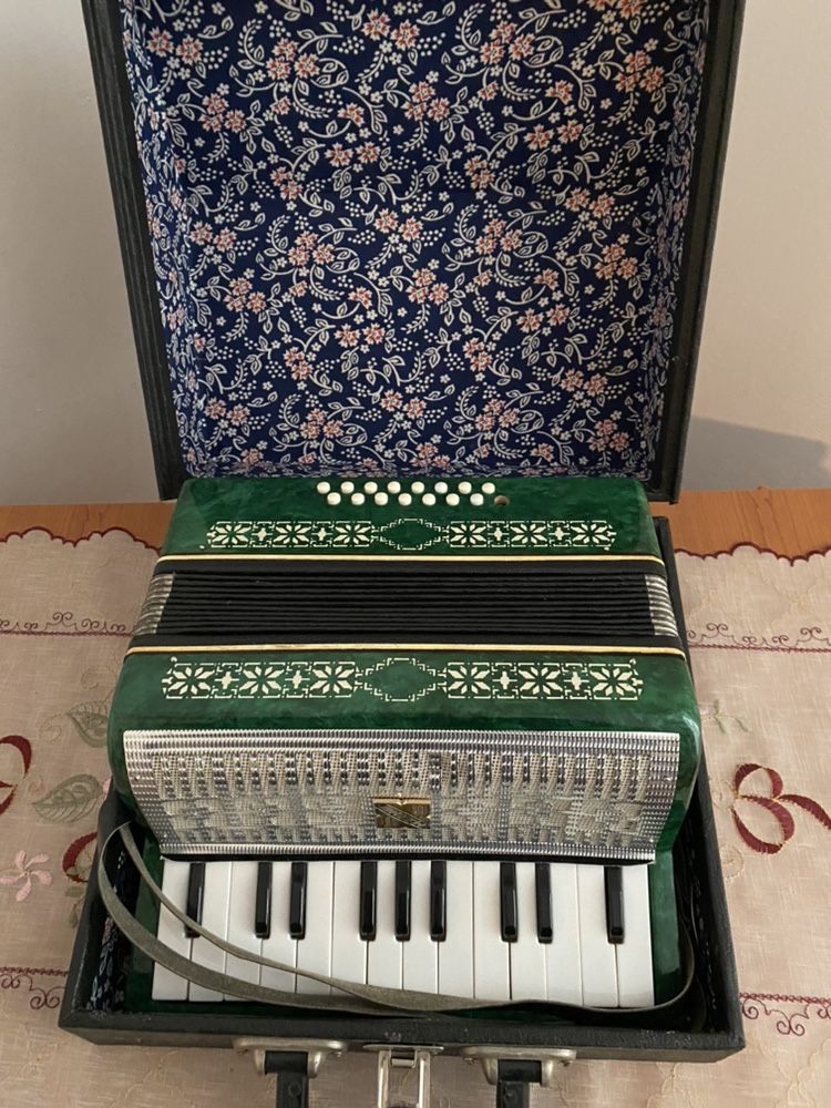 Acordeon mini pt copii