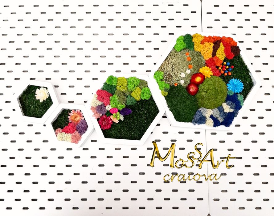 Cadouri personalizate & deco'