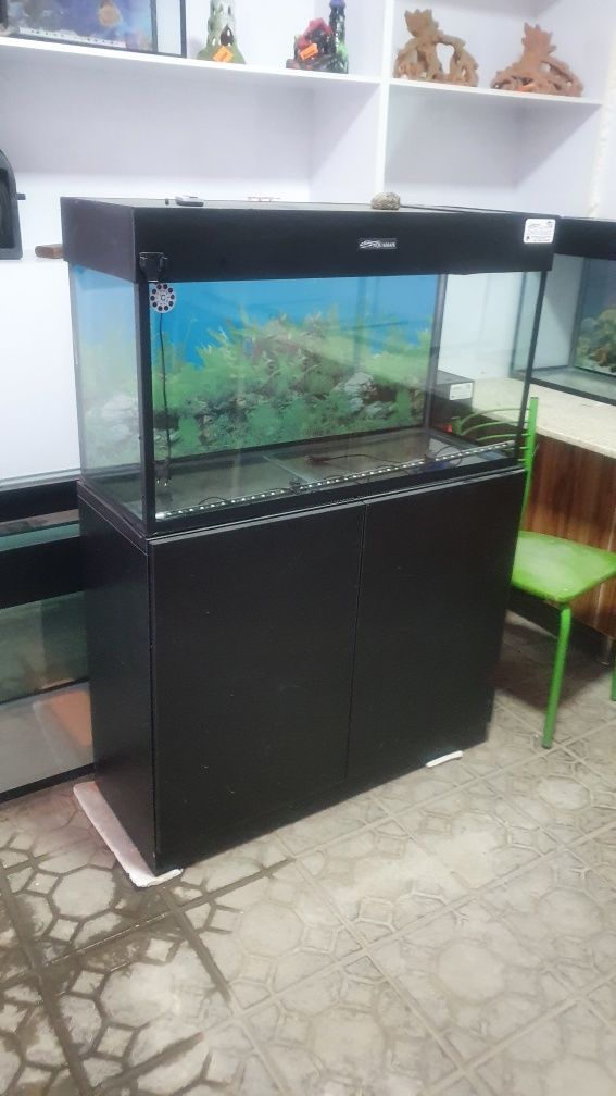 Akvarium yasab berabiz zakazga