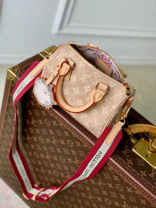 Geanta Louis Vuitton Speedy