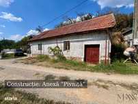 Pivnita cu parcela de vie - de vanzare, Uileacu de Cris, Bihor