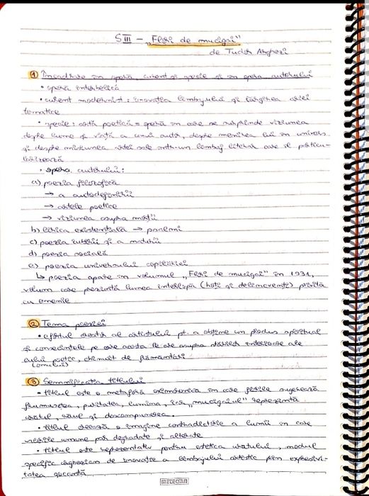 Caiet meditatii romana BAC 2025 bac de nota 10