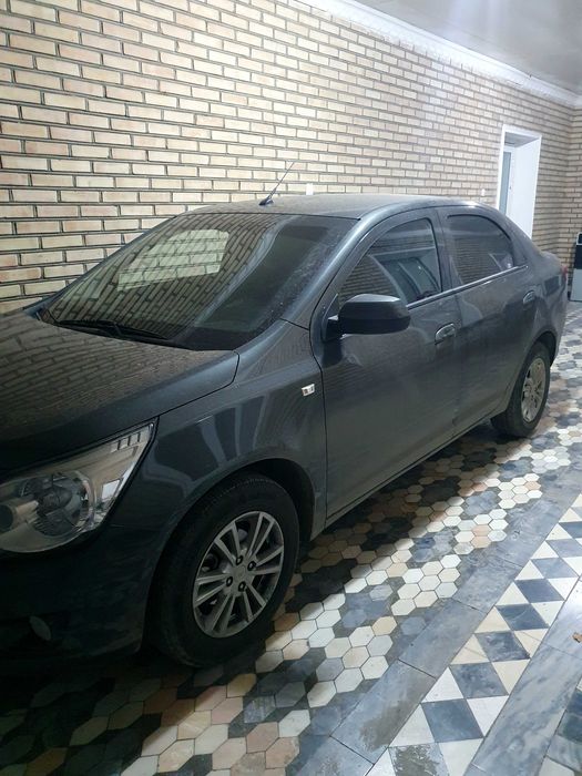 Кобольт сотаман.2023