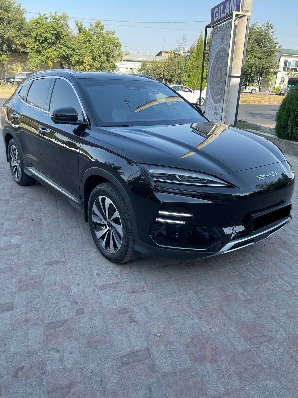 BYD chempion song plus 2024 й.
