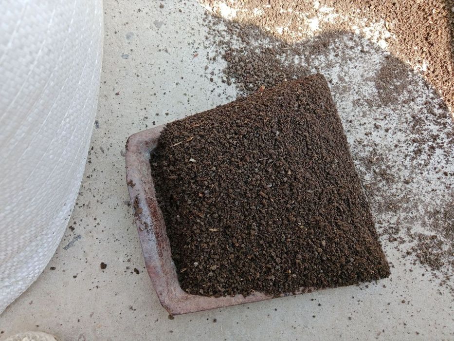 Biogomus tayyor elangan