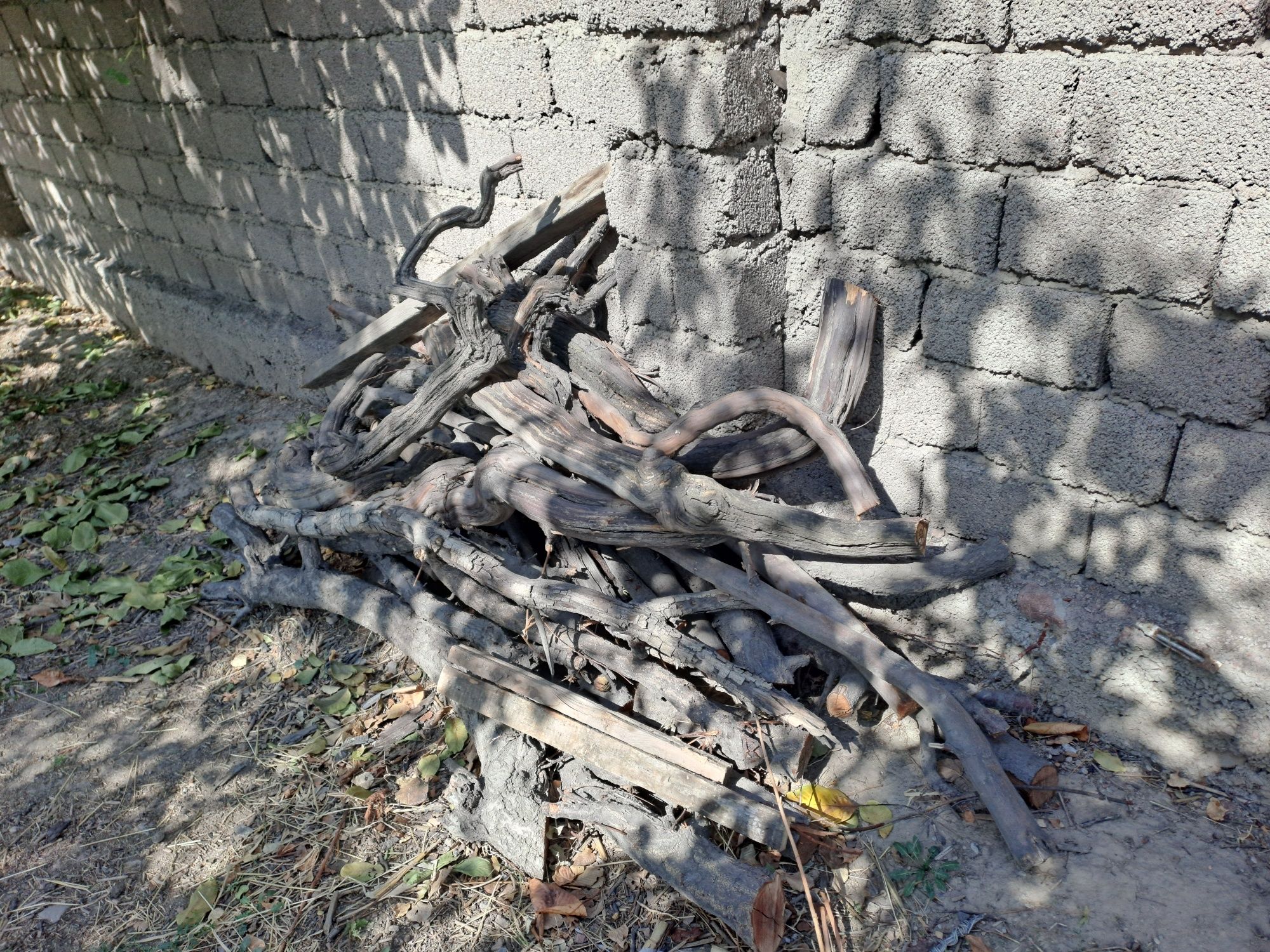 Дрова разные фруктовые