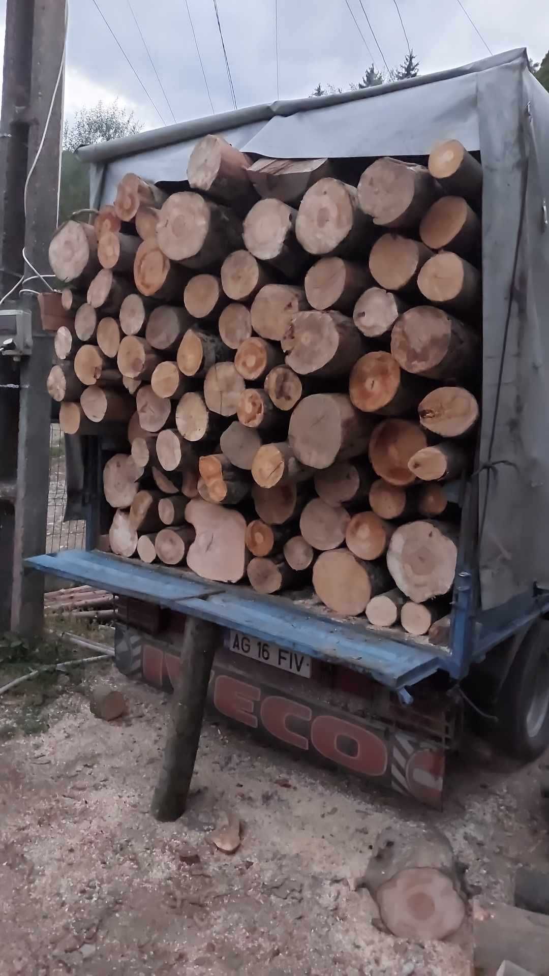 Vând lemne  de foc