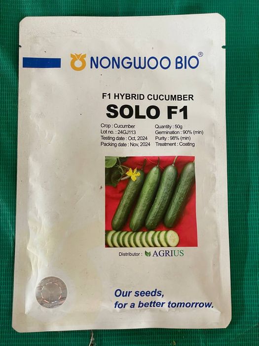 Семена разных видов