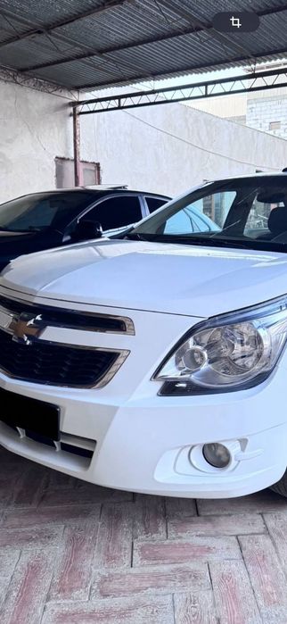 Аренда насия савдо кобольт