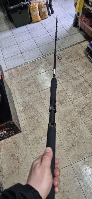 Пръчка за кльонк FLFISHING HERCULES CATFISH 1.98m. 100-300g.