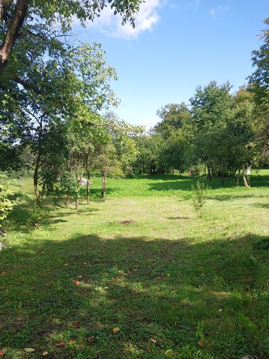 Teren intravilan (16 ari) si casă traditională, intăbulate in Breb - M