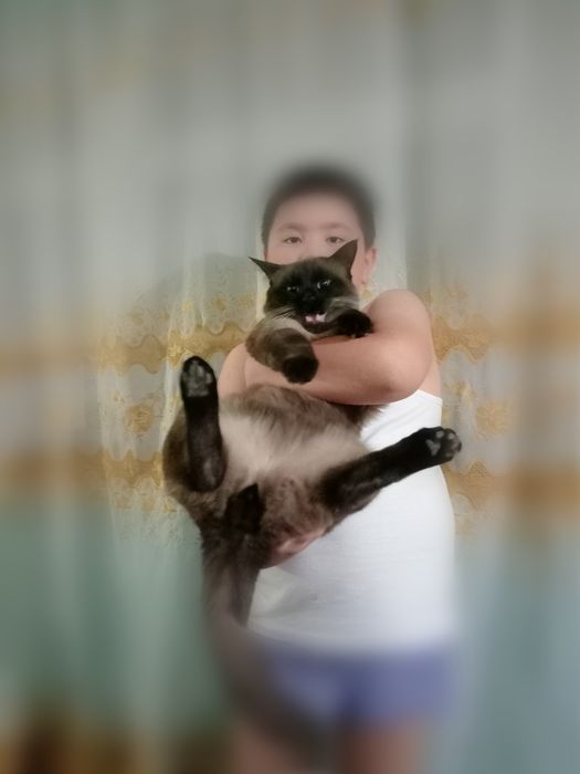 Баселлга келин қидиряпмиз