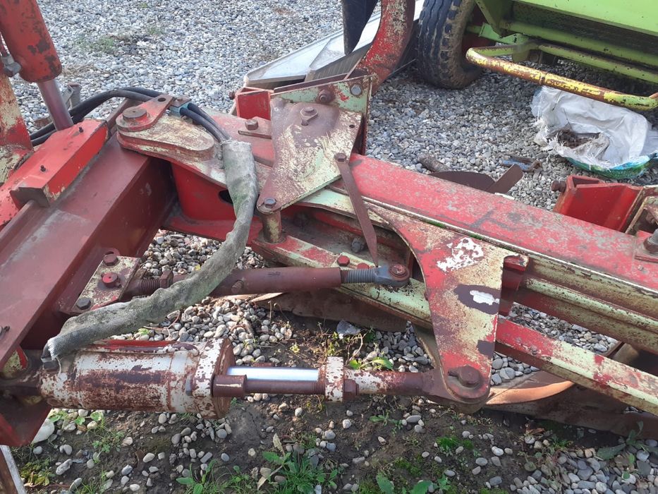 Plug vogel noot vario 950 5 cormane