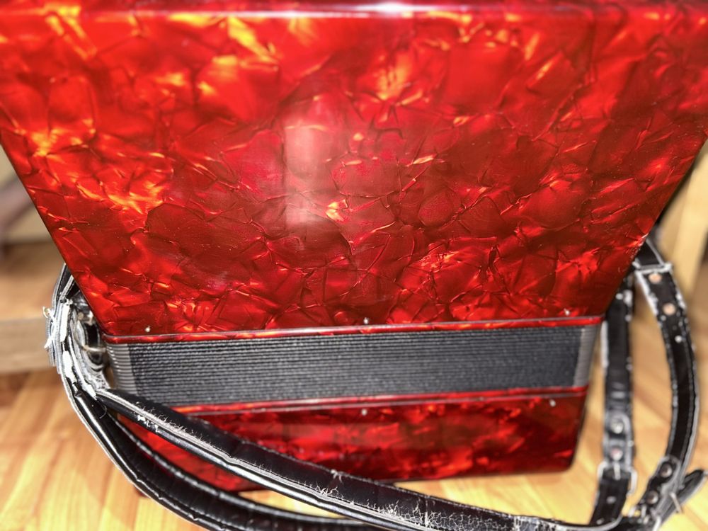 Acordeon parrot rosu top