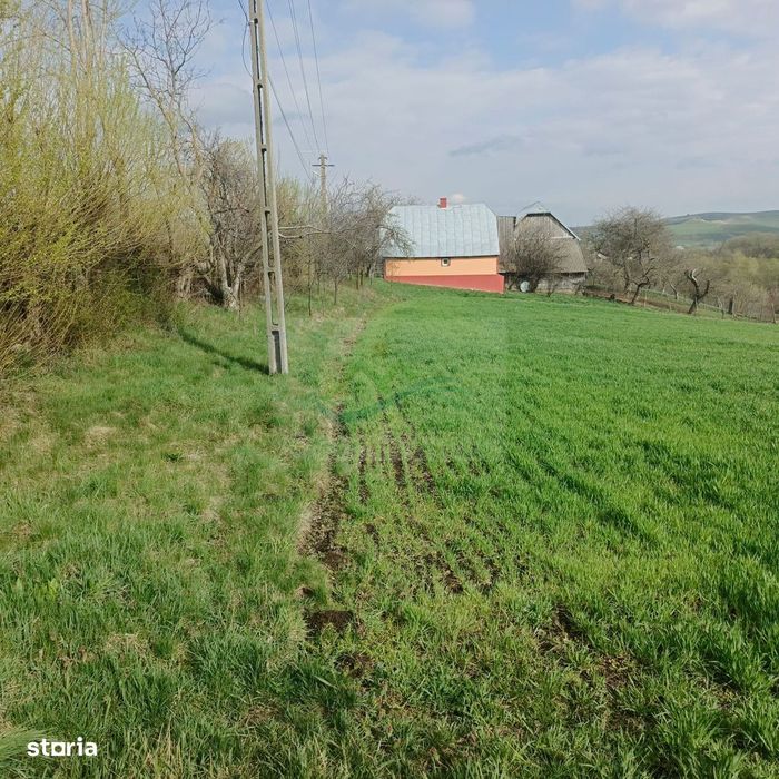 Teren intravilan Ilișești/Suceava