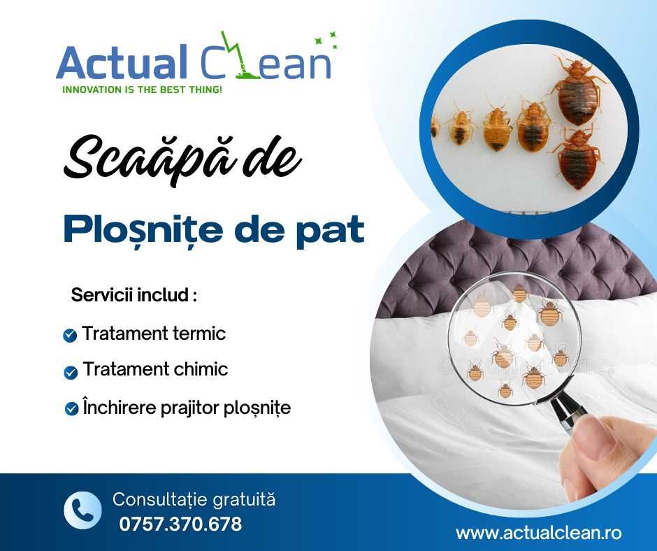 Dezinsectie plosnite de pat Cluj , Baia Mare, Oradea, Satu Mare, Zalau