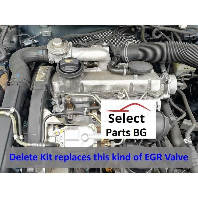 ЕГР EGR Delete Racepipe Race pipe VW Audi Seat Skoda 50-51мм 50 1.9TDI