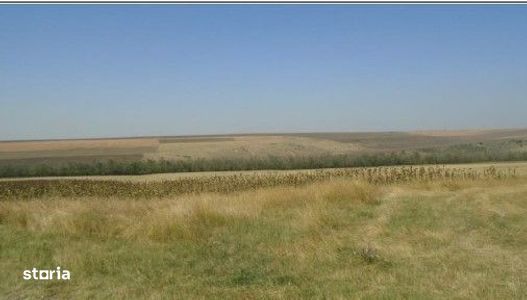 Teren Extravilan cota parte 1/4, Varlezi, ID: R2730256