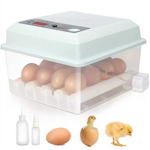 Автоматичен инкубатор, Люпилня MS-16 кокоши яйца (12V/220V) #254