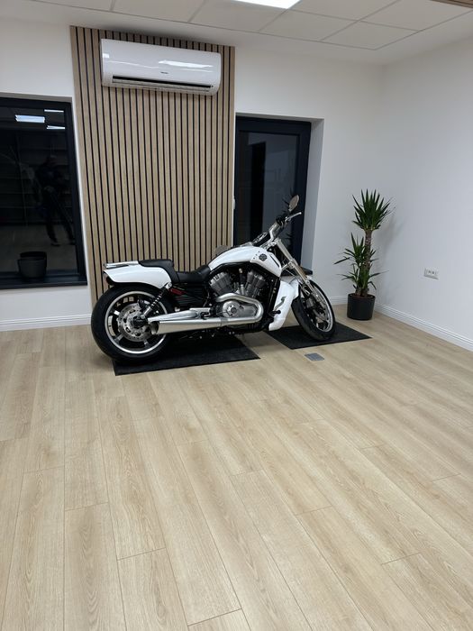 Harley Davidson VRod Muscle