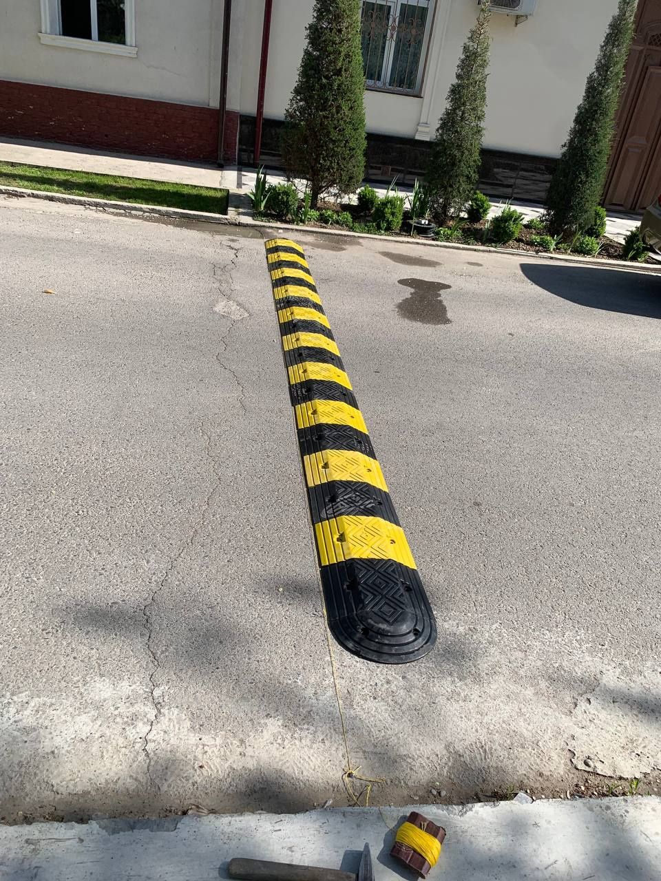 Лежаччи полисески