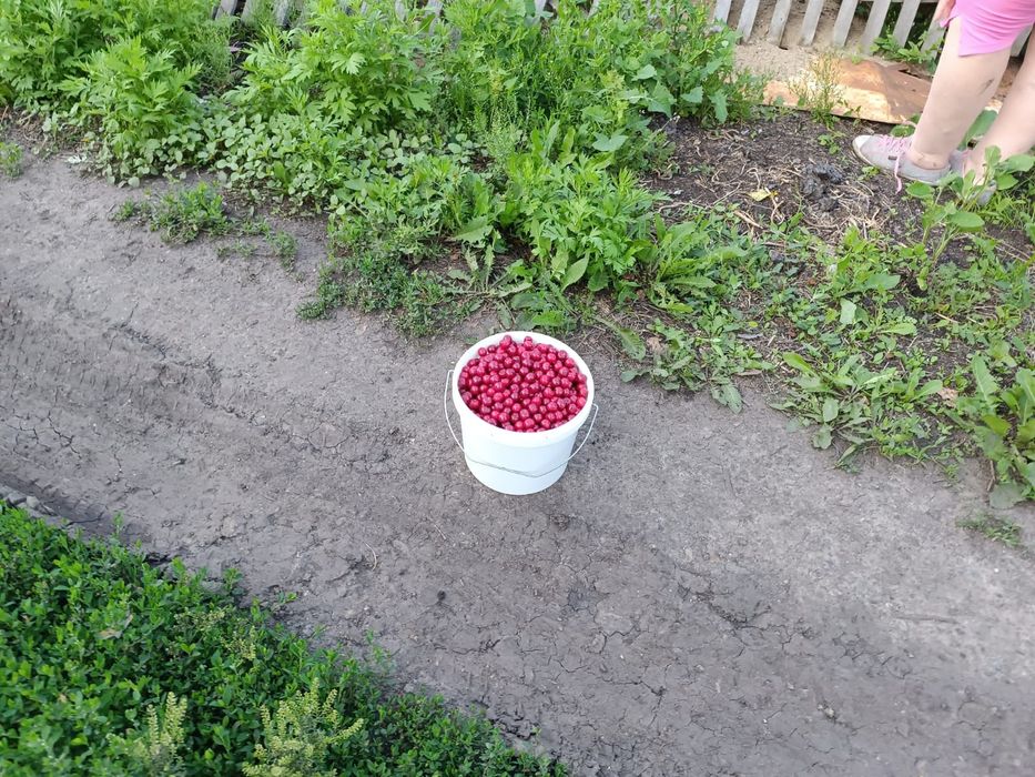 Продам участок 7 сорок