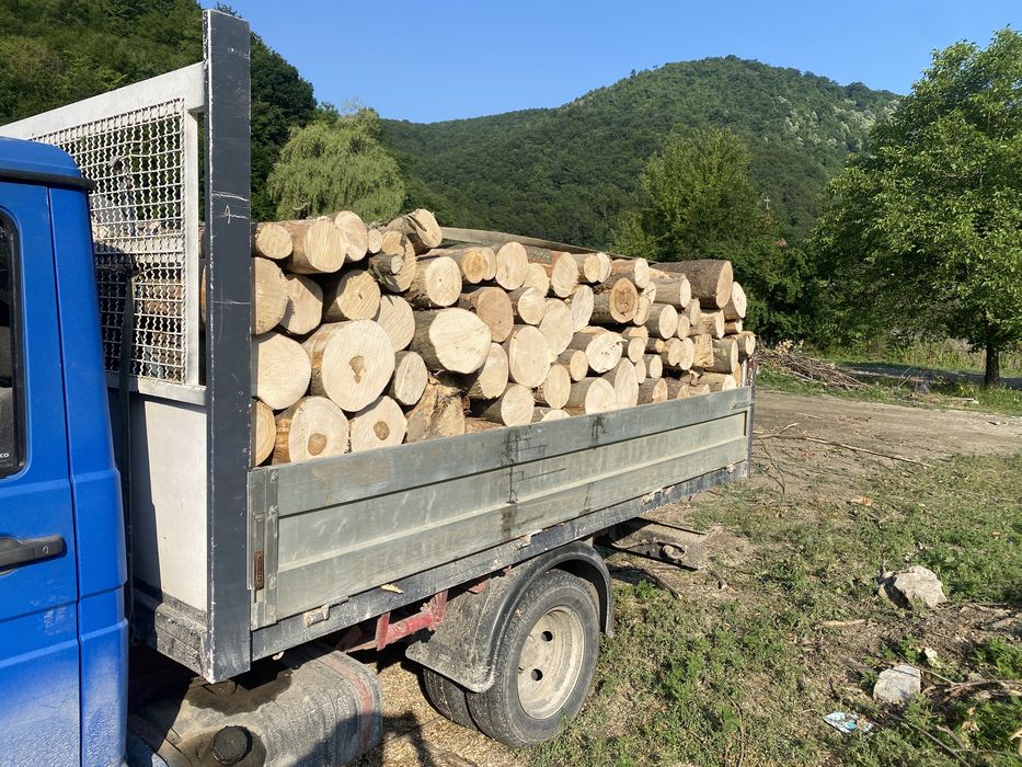 Lemn foc eseata tare