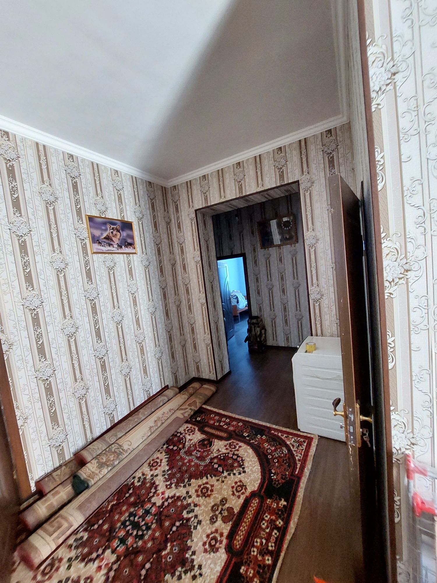 Namunali uy (kotej) narx tushdi
