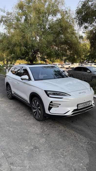 Byd champion 2024 yil 605 km