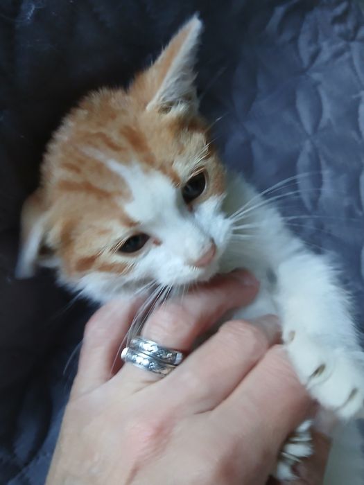 Младеж си търси дом