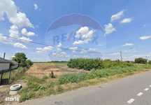 Teren 19,100mp Secuienii Noi / None