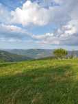 Teren intravilan Secaria Prahova de vanzare