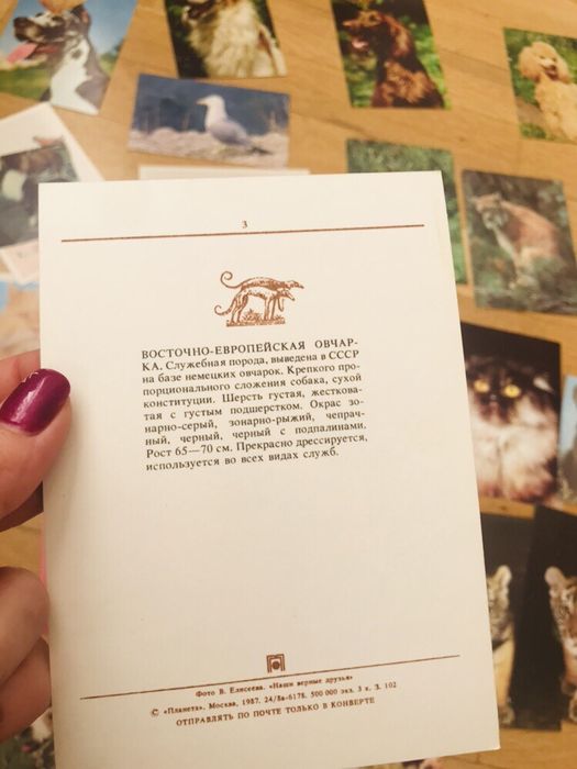 Колекция картички животни с описание