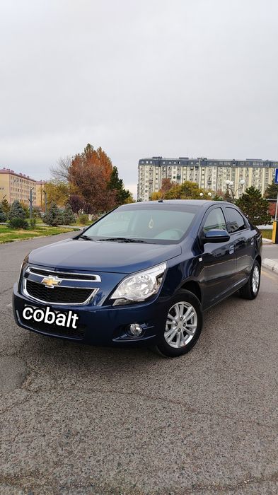 Cobalt LTZ sotilad 2023 yil 11000 yurgan