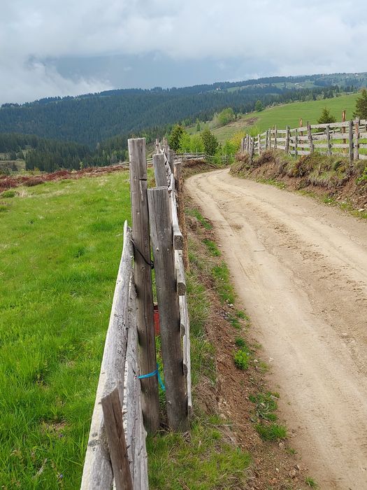 Vând teren la un preț foarte bun