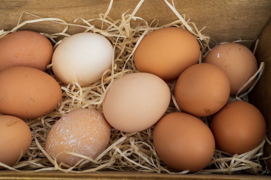 Ouă proaspete de casă – direct de la găini crescute natural!