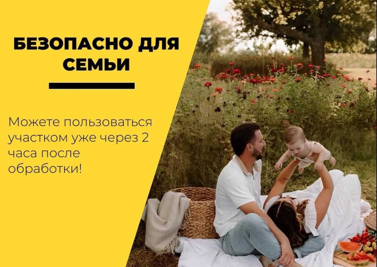 30% от 250 000 Обработка от насекомых Дезинфекция Dezinfeksiya