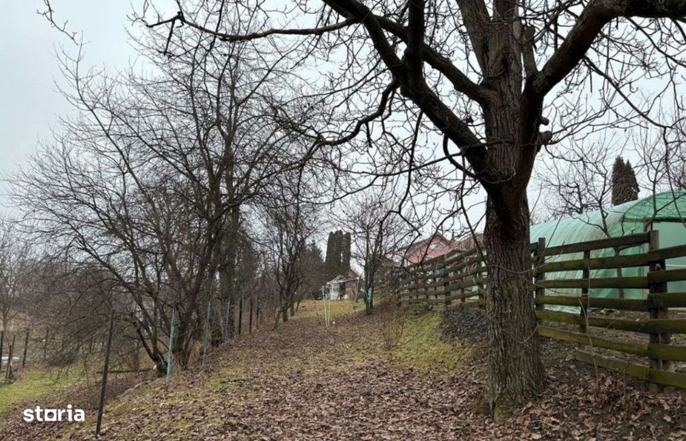 Teren intravilan cu casa demolabila 560 mp AUTORIZAT , Andrei Muresanu