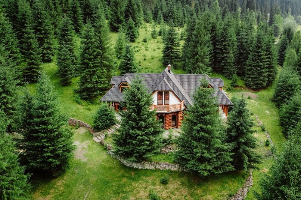 Cabana de vanzare Vatra Dornei (Darmoxa)