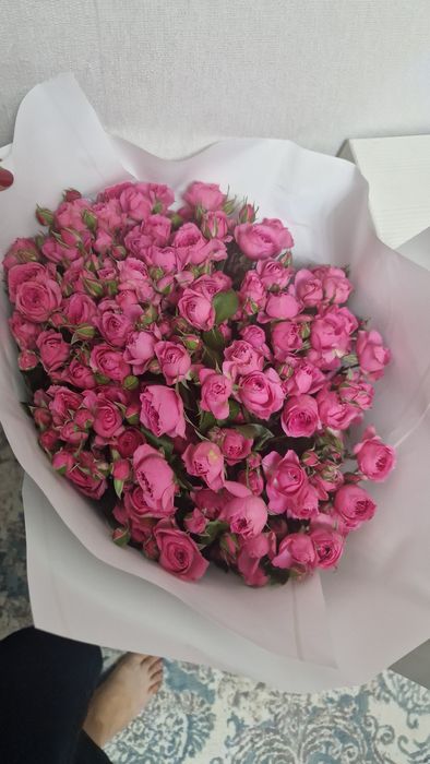 Цветы срочно продам