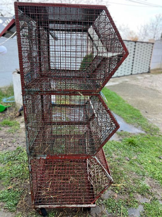 Cușcă Iepuri din fier