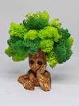 Groot скандинавски мъх