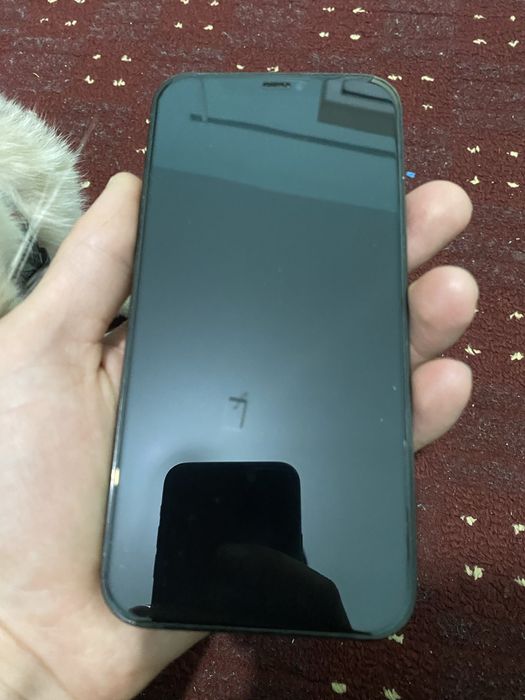 iPhone 12 pro max