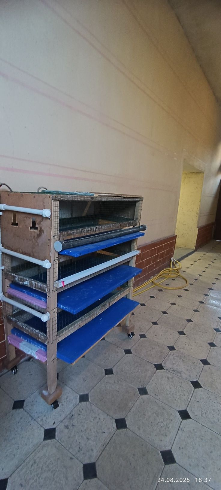 Bedana va jojalarga kataglar sotiladi
