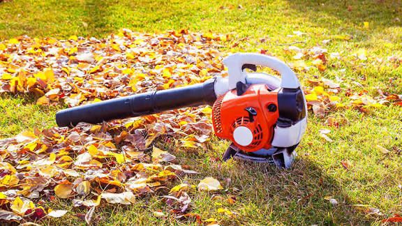 Аренда Инструментов аренда Воздуходувка садовая разных видов 24/7