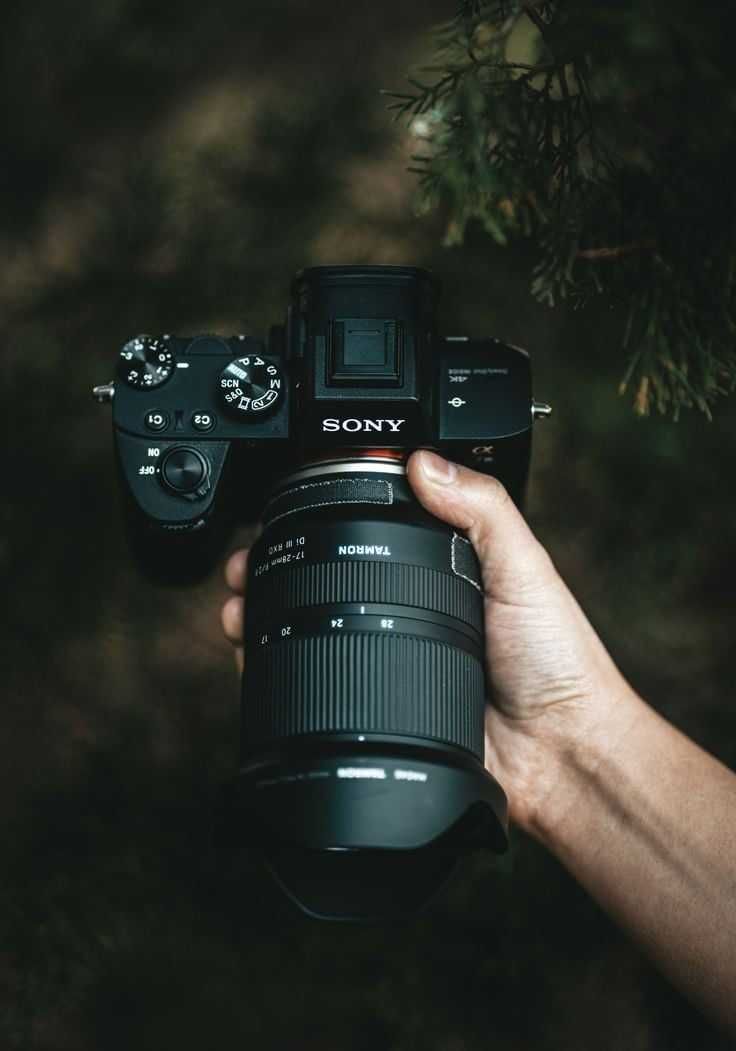 Фотограф | Видеограф | Видеосъёмка | Видеомонтаж | Дрон | Мобилограф