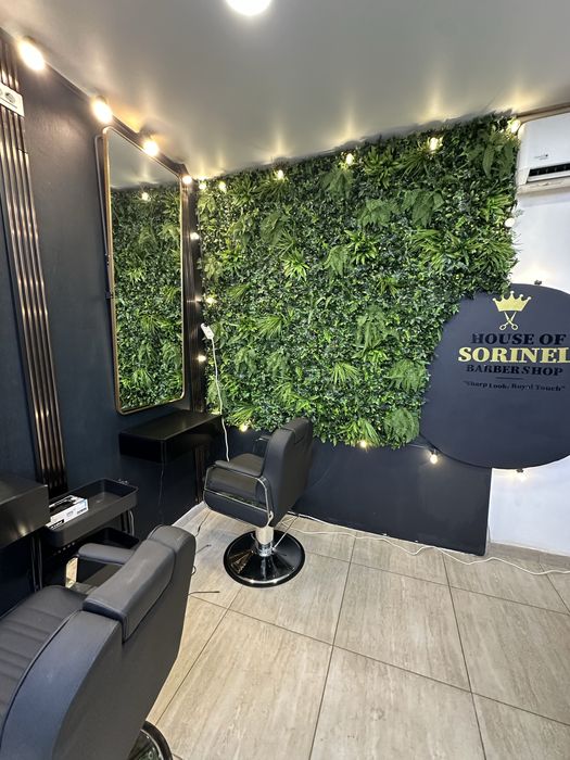 Caut fete pentru salon – gene, unghii, hairstyling și pensat